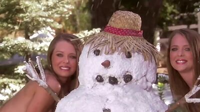 Big boobed naked twins  Natalie and Jennifer Campbell playing in the garden