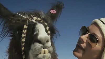 Big boobed glamorous babes riding on sand yachts and posing in the desert