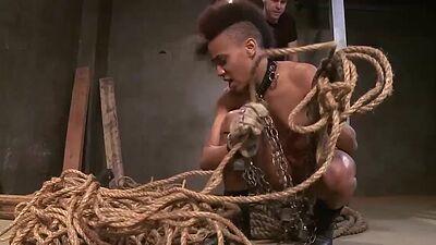 Ebony whipped and ass plugged