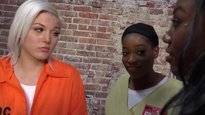 Zebra Girls - Jenna Ivory