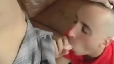 Pigtailed Legal Age Teenager Schlong Fucker