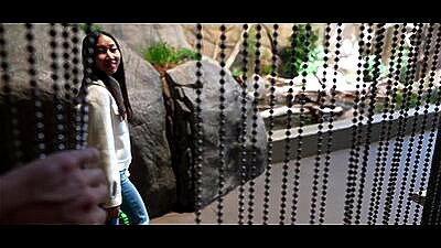 WEEKLY VLOG IN MONTREAL - LUNA’S JOURNEY (EPISODE 37)