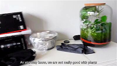 APPARTMENT TOUR - LUNA'S JOURNEY (EPISODE 40)