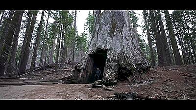 HE FUCKS ME TWICE IN THE FOREST - LUNA'S JOURNEY (EPISODE 24)