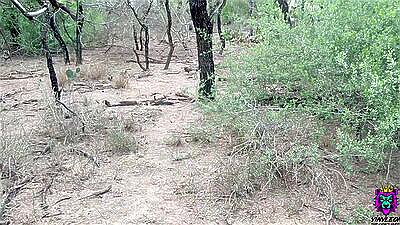 Big Boobs Wife gets her Pussy drilled on Public Trail after Sweaty Workout