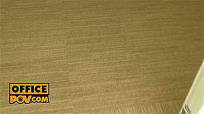 POV - Busty boss bitch Aletta Ocean takes your dick in her ass