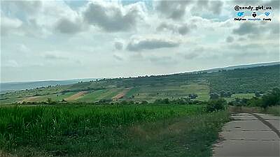 Hey bitch! No money? I'll give you a ride if you...