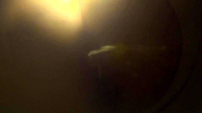 Anal milk enema with piss in public toilet