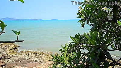 Sexy Hairy Milf Shows In Public Pussy And Arse Plug