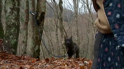 A Parte Inferior do Corpo de Uma Mãe Solitária [Legendado] Kimika Ichijou