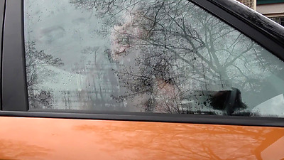 FULL ON Sexual Advances from MILF Examiner distracts Male Student - Fake Driving School