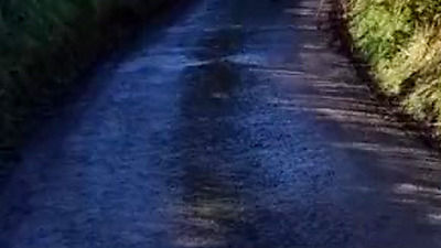 Near naked, chilly day public walk