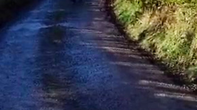 Near naked, chilly day public walk