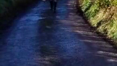 Near naked, chilly day public walk