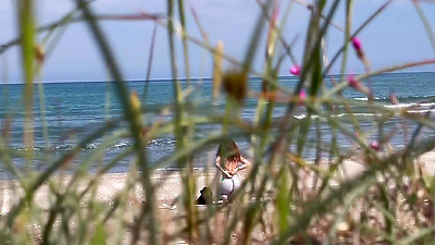 FUCKED ON THE BEACH BY A STRANGER!!!