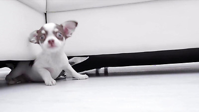 PutaLocura - Horny blonde Marsianna Amoon swallowing a lot of cum in hot bukkake