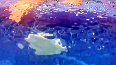 Latina MILF with a big arse gets a hard shaft from a stranger in the public pool