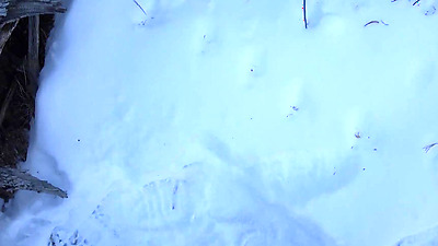 Sexy In The Snow - Rachel Rivers