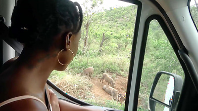 Nympho African Girlfriend Sucks My White Penis After Exotic Safari Date