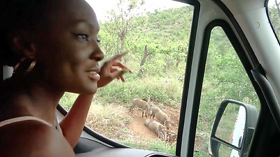 Nympho African Girlfriend Sucks My White Penis After Exotic Safari Date