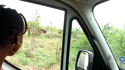 Nympho African Girlfriend Sucks My White Penis After Exotic Safari Date
