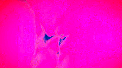 Angela White Has Rough Sex with Her Angry Cheating Husband