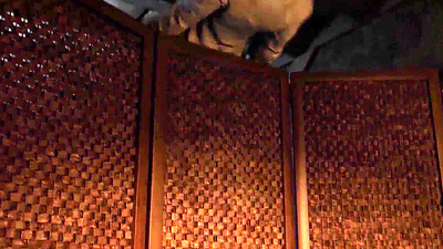 The Bordello Saga [Plus Scenes]