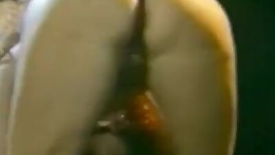 Becky Savage, Busty Belle, Candy Samples in vintage sex site