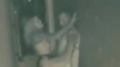 Back alley is perfect place for insane mushing!