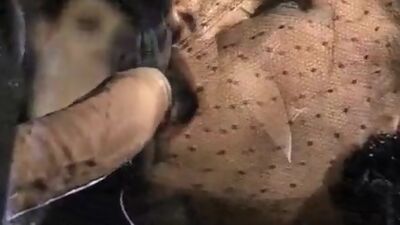 Deborah Wells, Elodie John Holmes, Cindy Wilson in classic fuck video