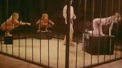 Jamie Gillis, Sam Grady, Chris Anderson in classic sex video