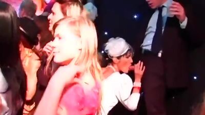 DRUNKSEXORGY - Tempting brides fucking in public