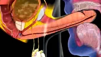 Cum in mouth animation