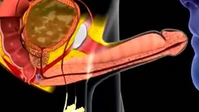 Cum in mouth animation