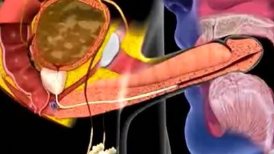 Cum in mouth animation