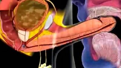 Cum in mouth animation