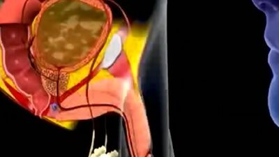 Cum in mouth animation