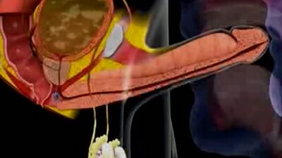 Cum in mouth animation