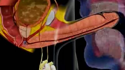 Cum in mouth animation