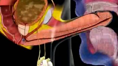 Cum in mouth animation