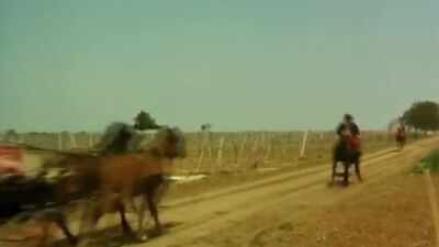 Josefine Mutzenbacher is back